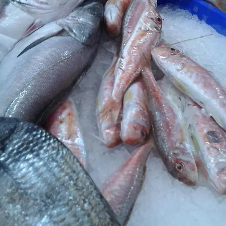 Miguel * カラオンダ